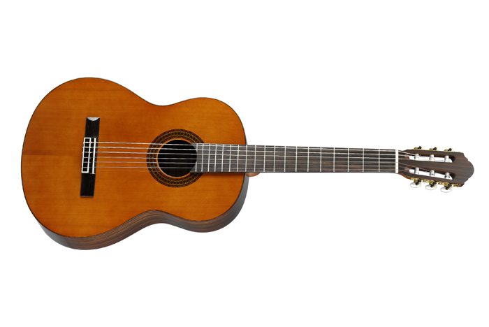 The Walden SN630