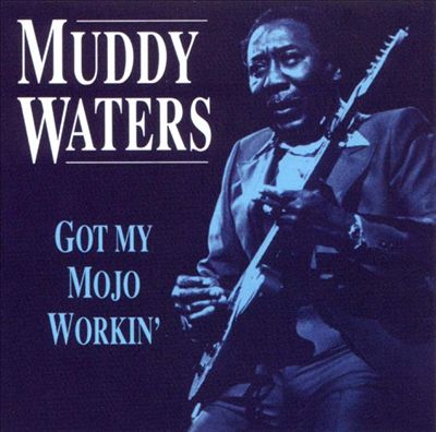 Muddy Waters