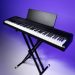 Korg B2+ in black (stand sold separately)