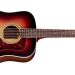 Guild D-50 Standard Antique Burs